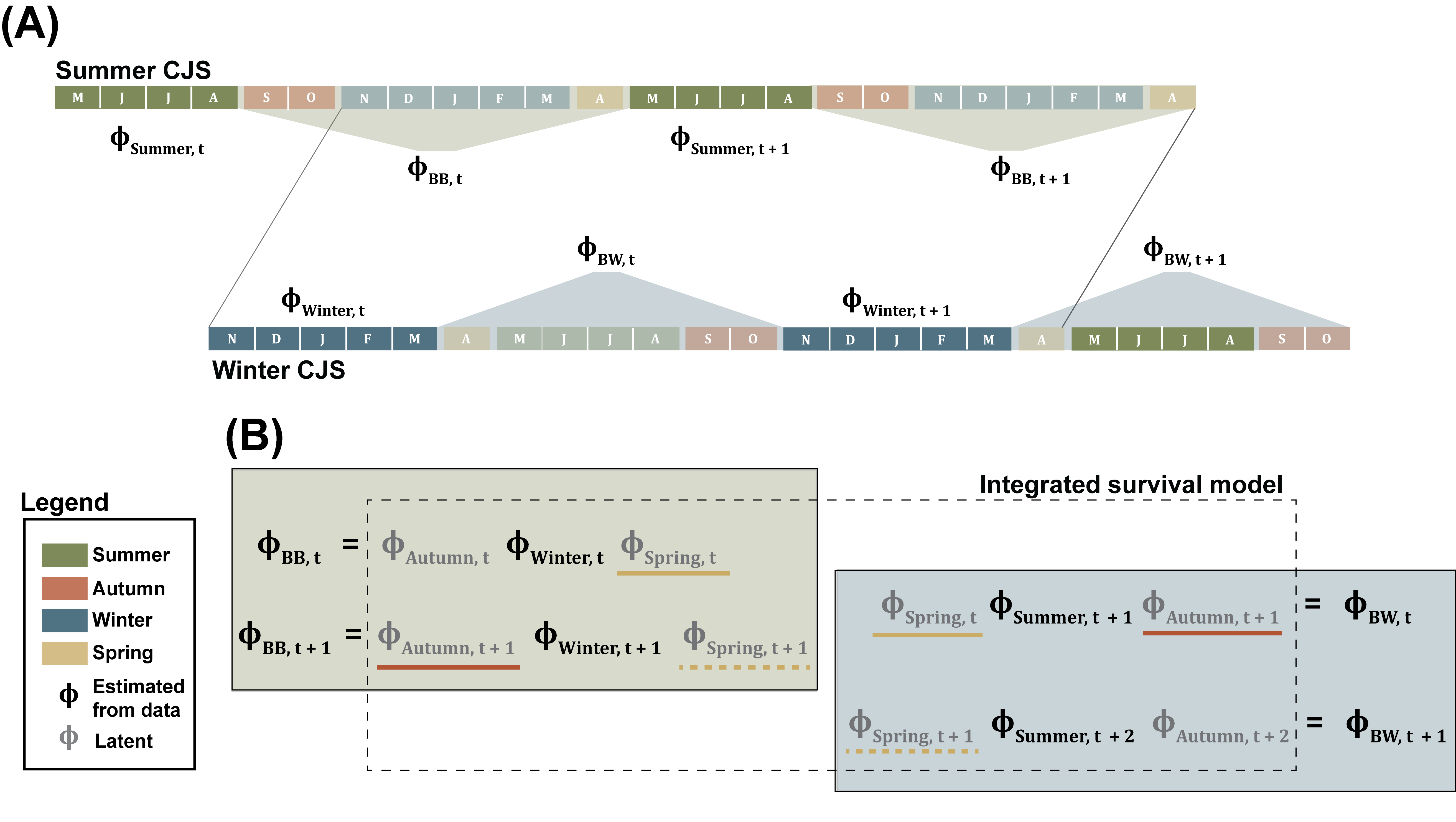 Integrated CJS framework