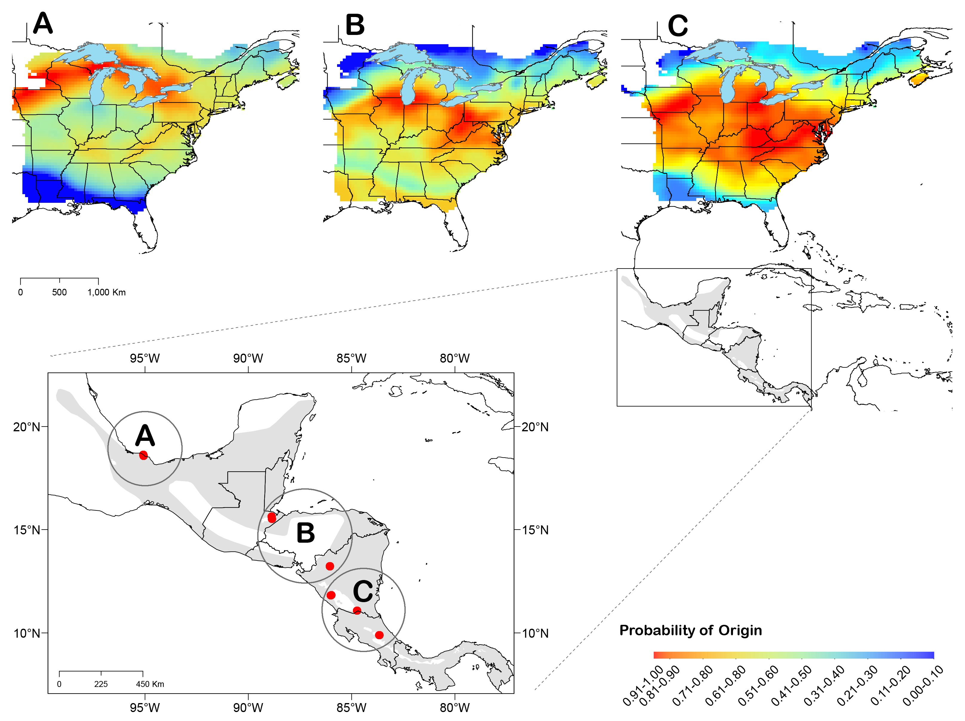 Wood Thrush Migratory Connectivity